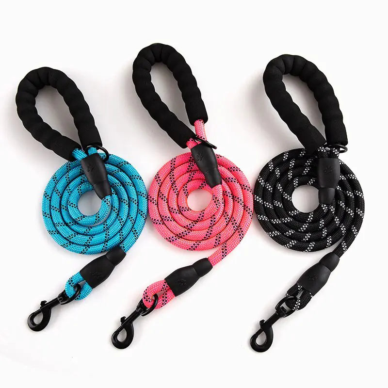 Premium Quality Nylon Leash